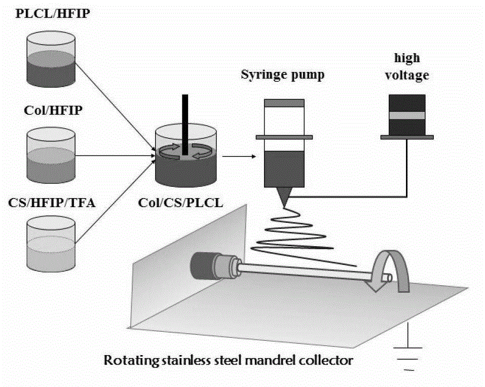 Preparation method for protein-polyose-polylactic acid polycaprolactone vascular stent