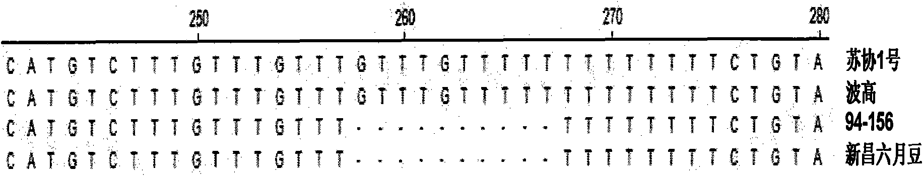 Molecular marking method of soybean low phosphorus-resistant gene GmAPt