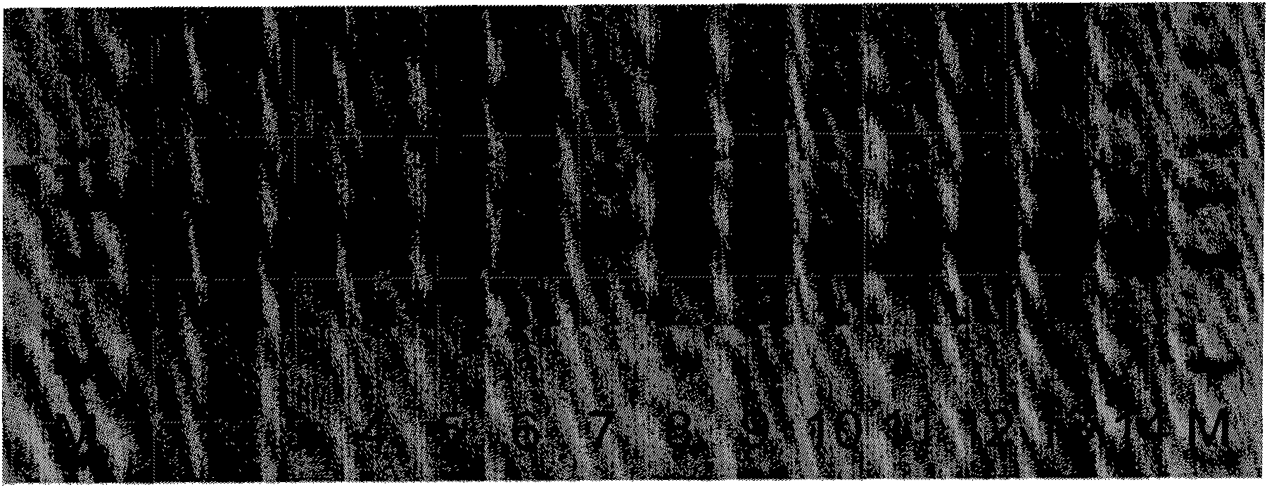 Molecular marking method of soybean low phosphorus-resistant gene GmAPt