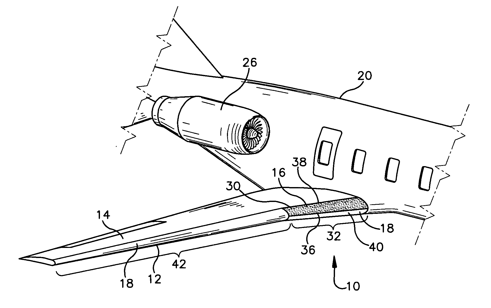 Ice protection system for aircraft