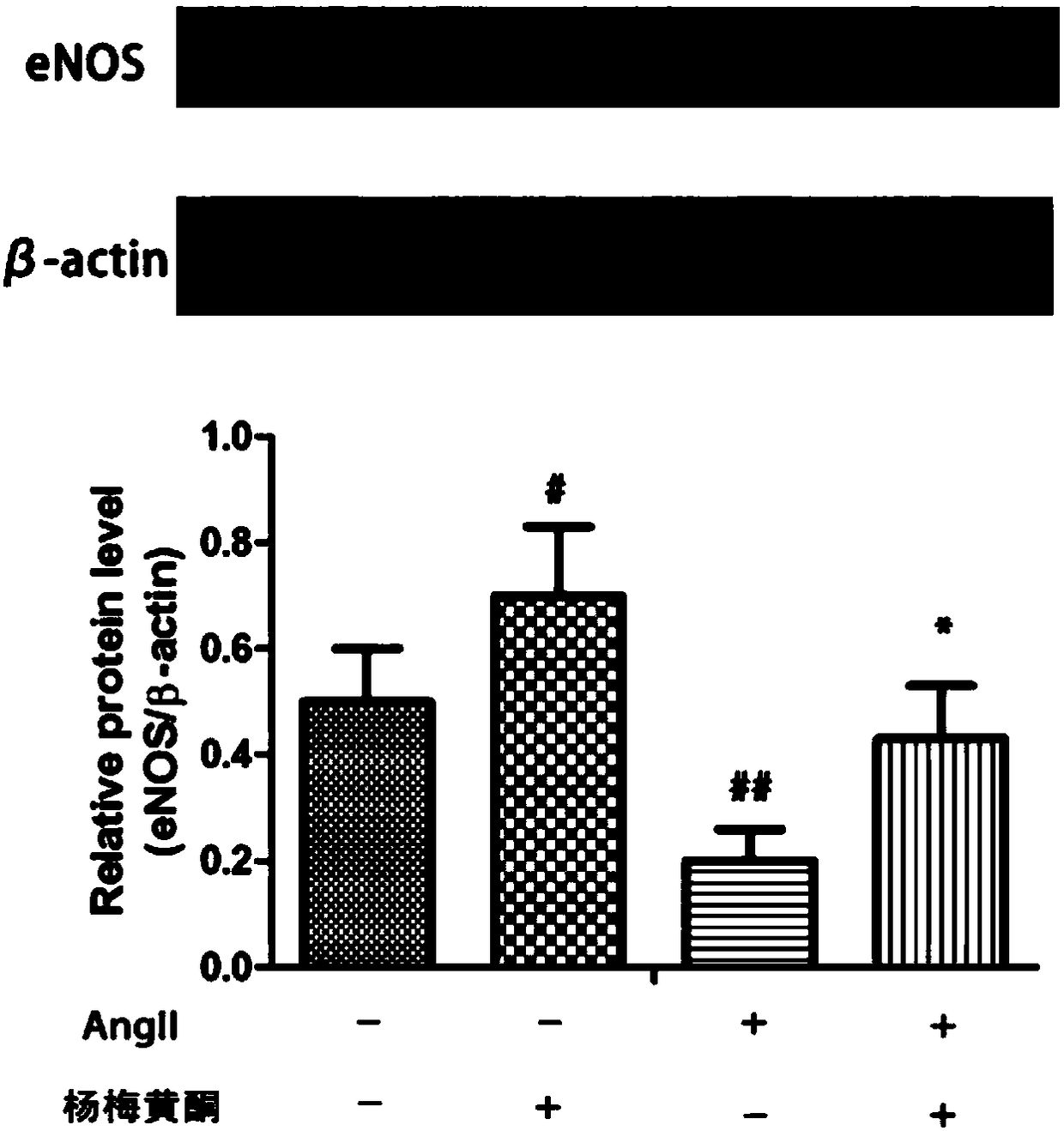 Total flavonoids from waxberry, preparation method and application of total flavonoids from waxberry, and eNOS agonist