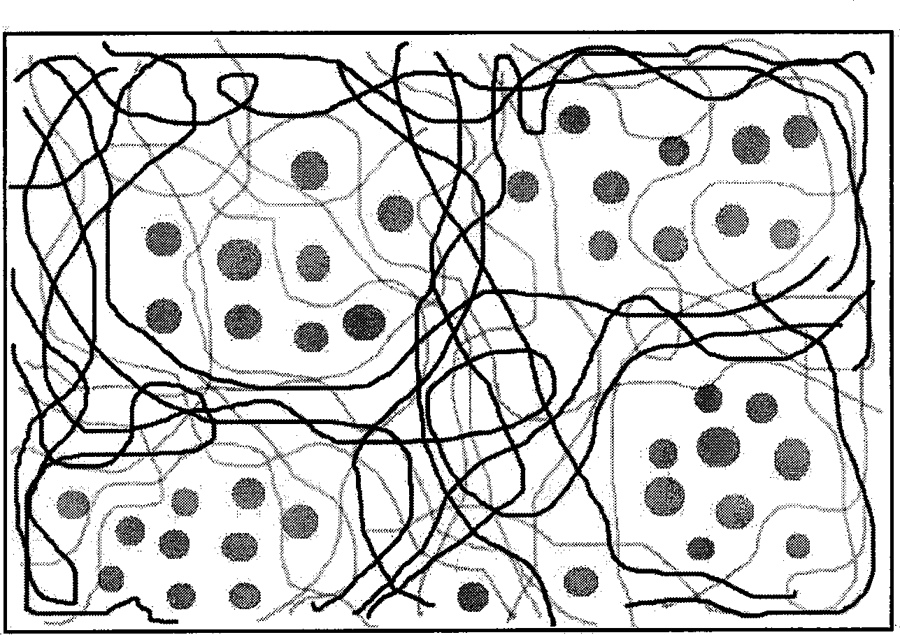 Method for preparing biocompatible high-strength three-dimensional connected porous PVA hydrogel