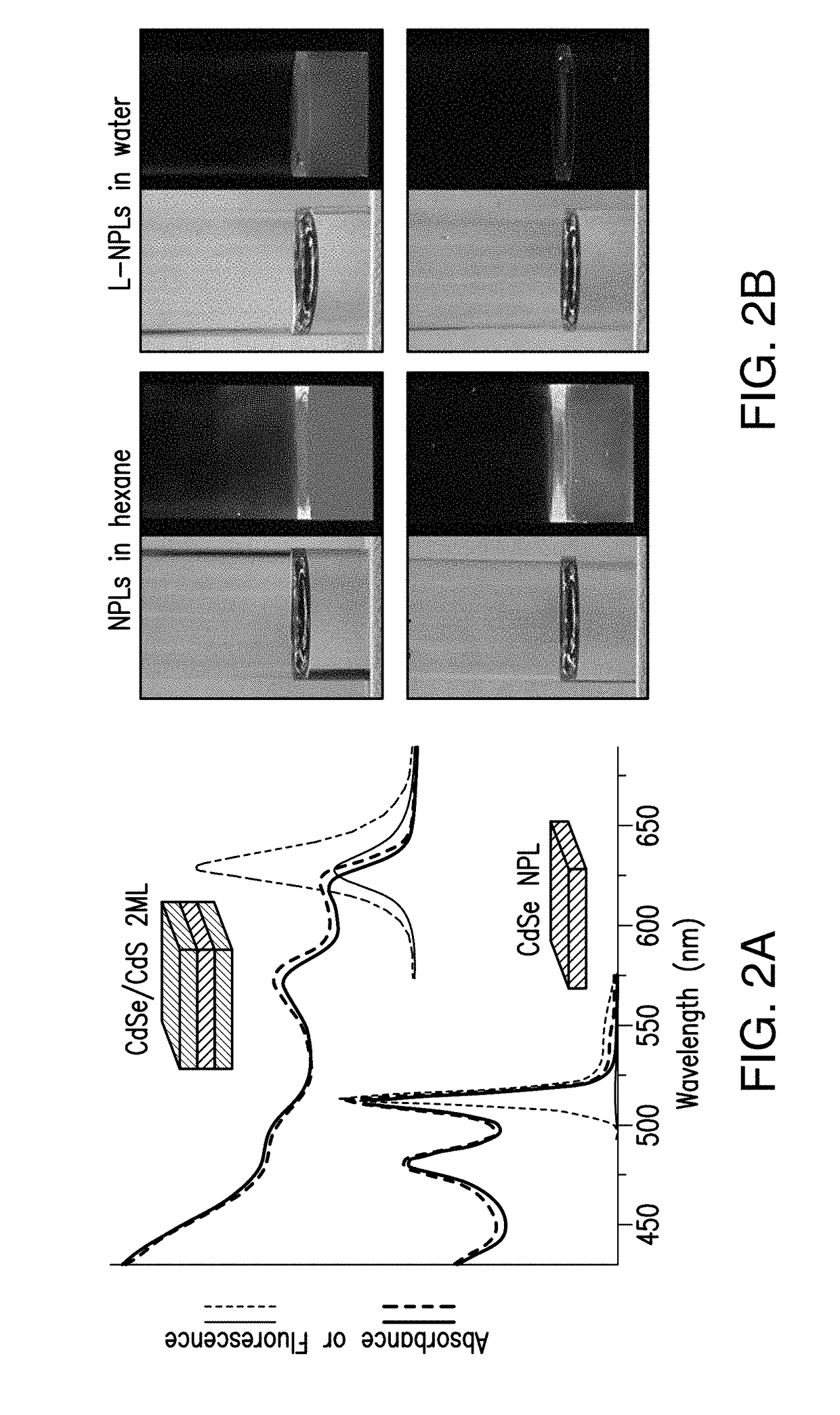 Lipoprotein nanoplatelets: fluorescent, zwitterionic probes for molecular and cellular imaging