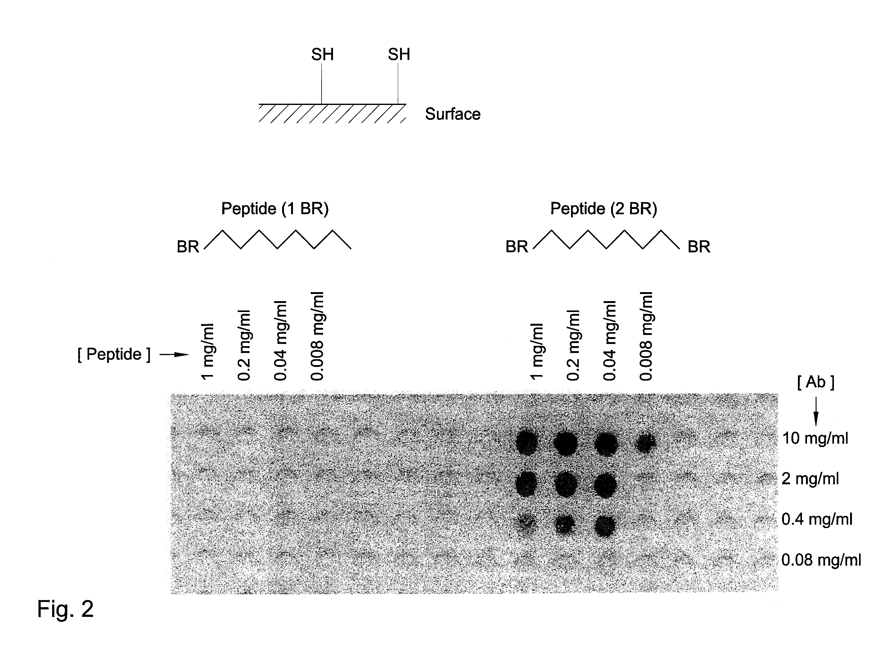 Identification of protein binding sites