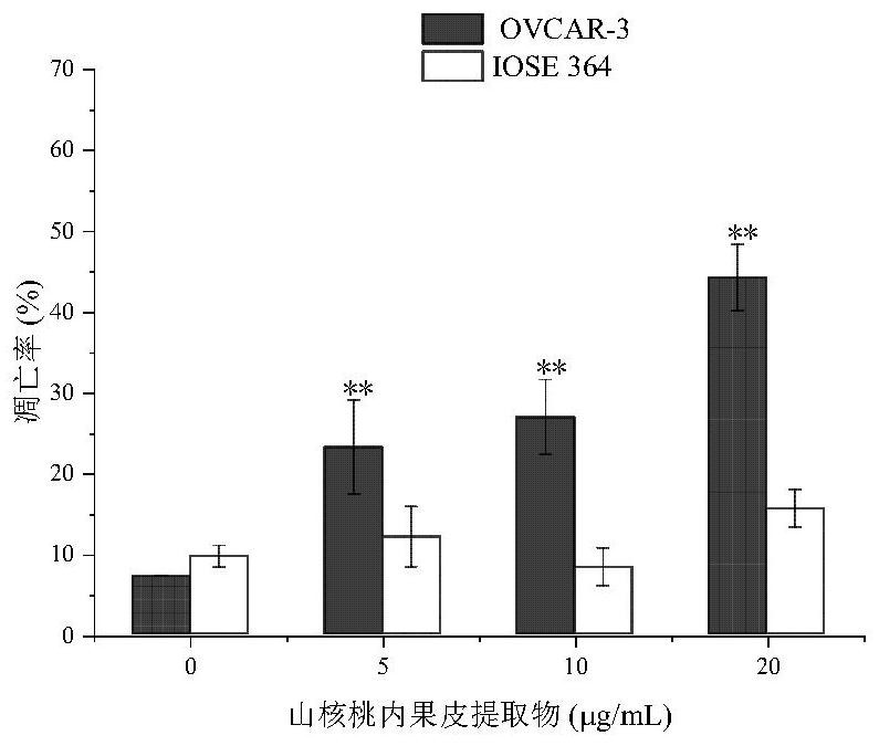 Application of hickory nut endocarp extract in the preparation of anti-ovarian cancer products