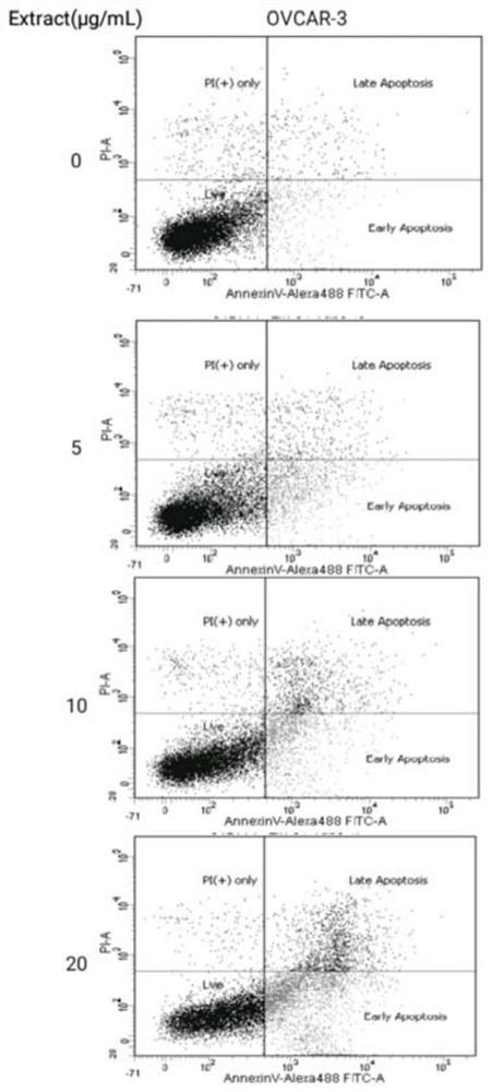 Application of hickory nut endocarp extract in the preparation of anti-ovarian cancer products