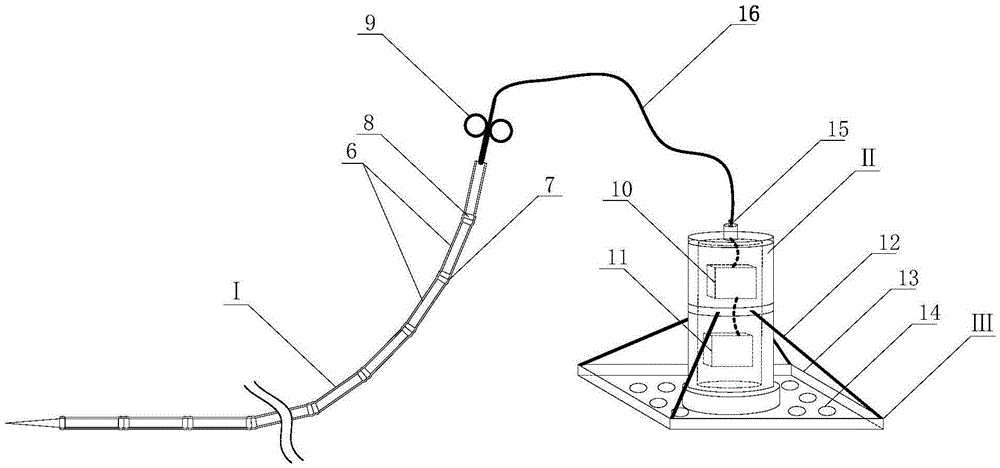 Seabed lateral deformation and sliding observation device and method