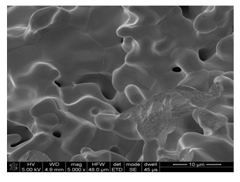 Preparation method of porous tantalum as medical metal implant material