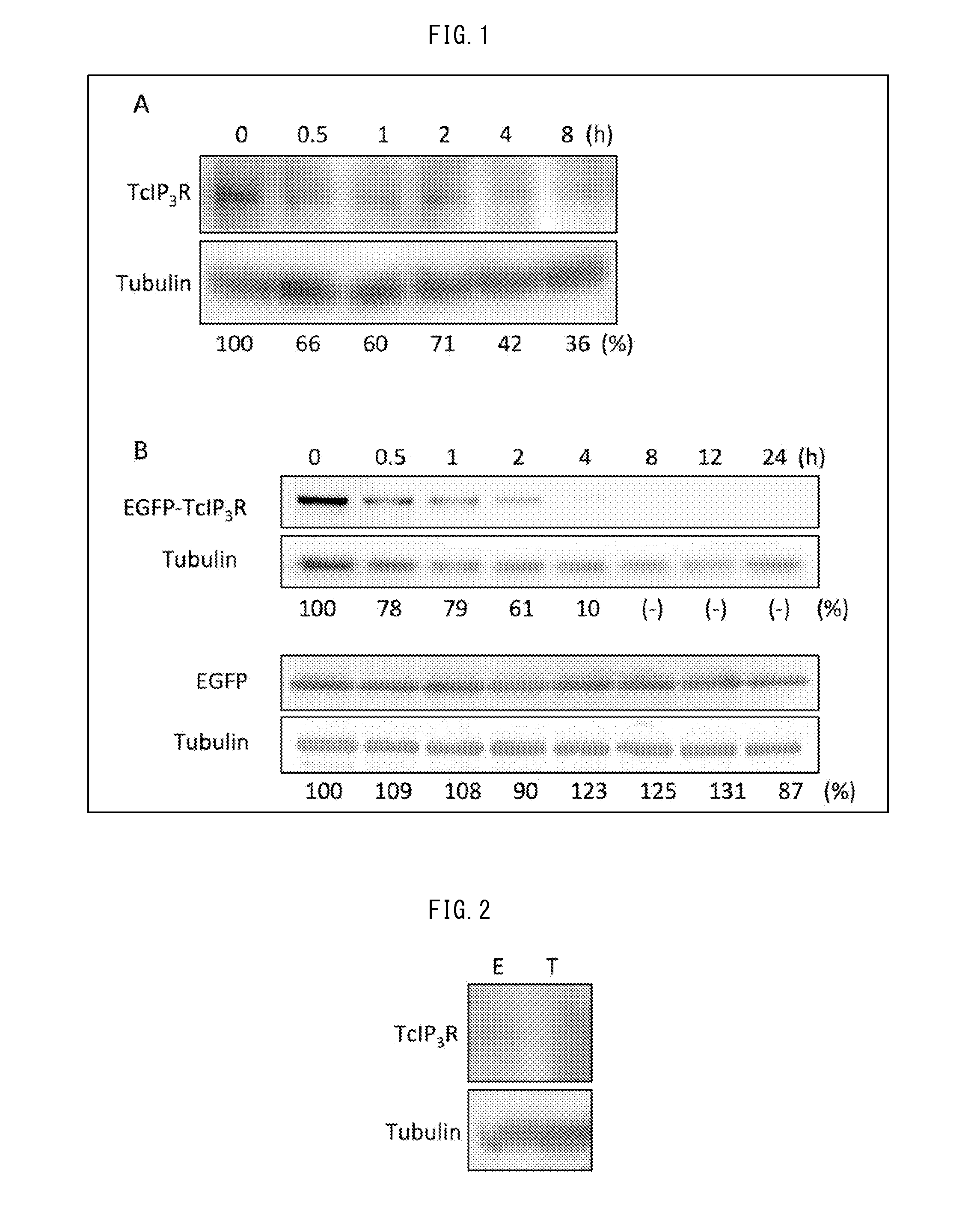 Therapeutic agent for treating trypanosoma-associated disease, method for killing trypanosoma parasites, and use thereof