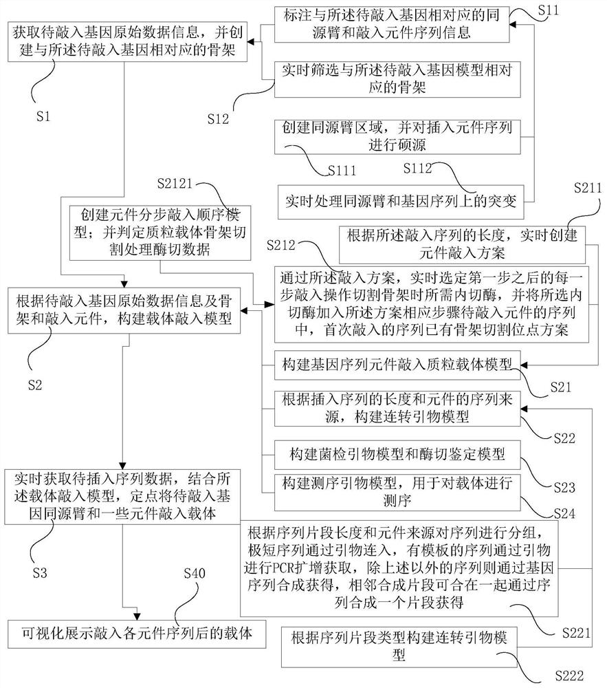 Gene fixed-point knock-in vector construction method, system and platform