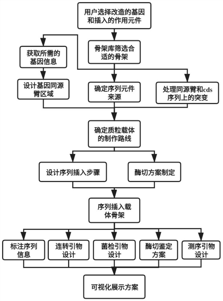 Gene fixed-point knock-in vector construction method, system and platform