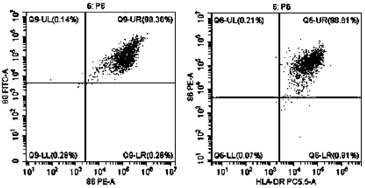 Efficient tumor antigen loaded DC vaccine and method for induced proliferation of tumor antigen specific CTL by same