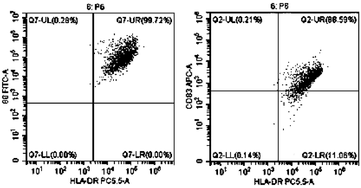 Efficient tumor antigen loaded DC vaccine and method for induced proliferation of tumor antigen specific CTL by same