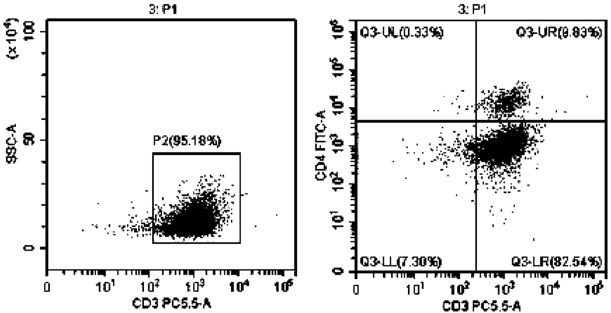 Efficient tumor antigen loaded DC vaccine and method for induced proliferation of tumor antigen specific CTL by same