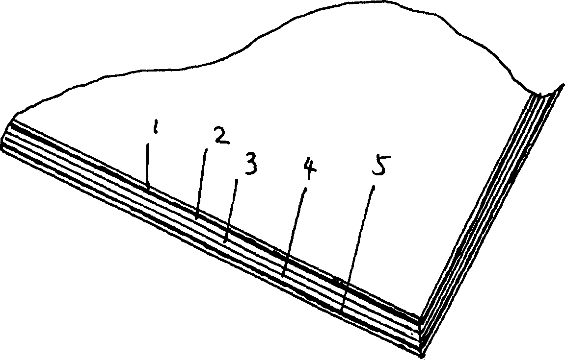 Located multicolour anti false coated white paperboard and production process thereof