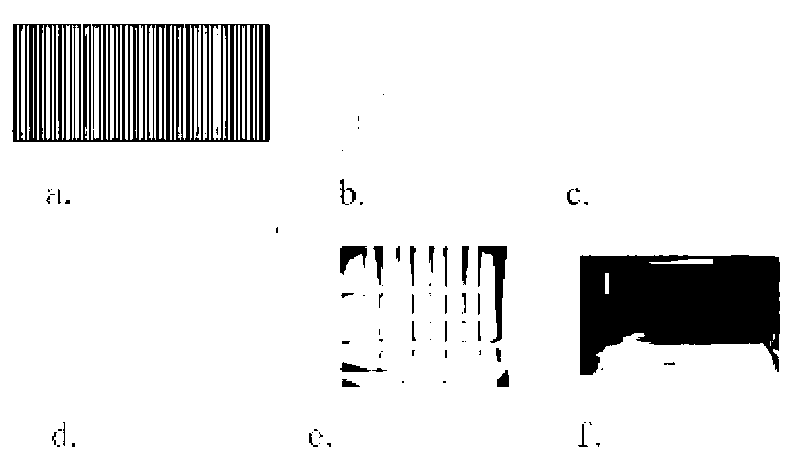 Synthetizing algorithm based on naked eye three-dimensional displaying technology