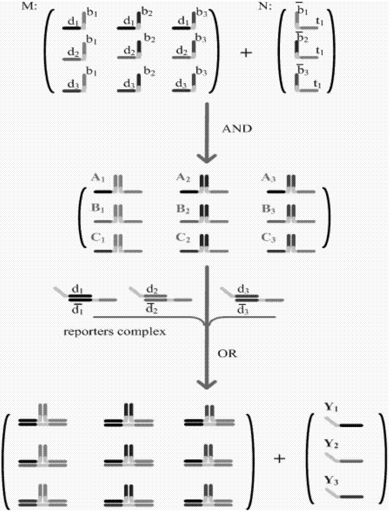 Matrix vector multiplication double-track logic circuit based on DNA composite strand displacement and method thereof