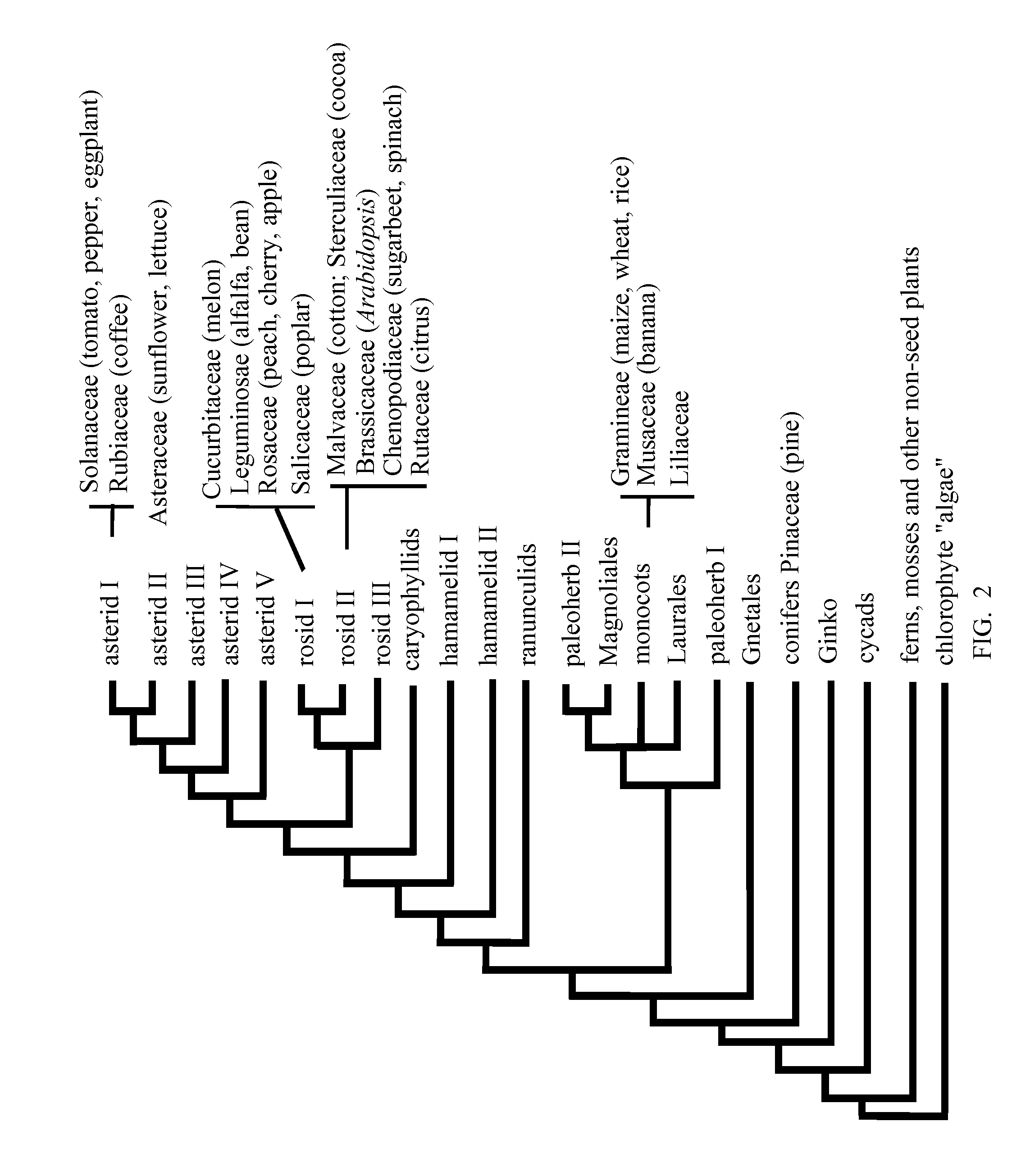 Enhancement of plant yield vigor and stress tolerance