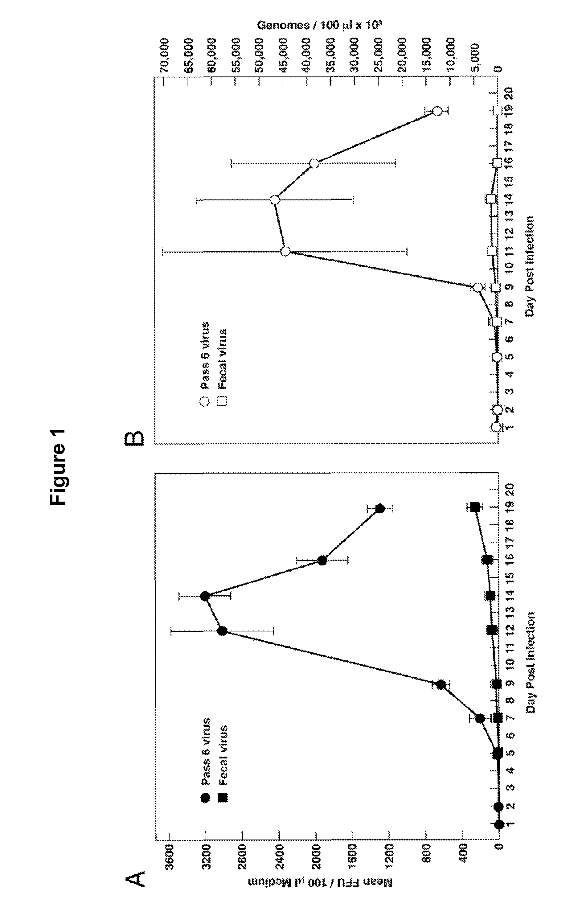 Infectious hepatitis e virus genotype 3 recombinants