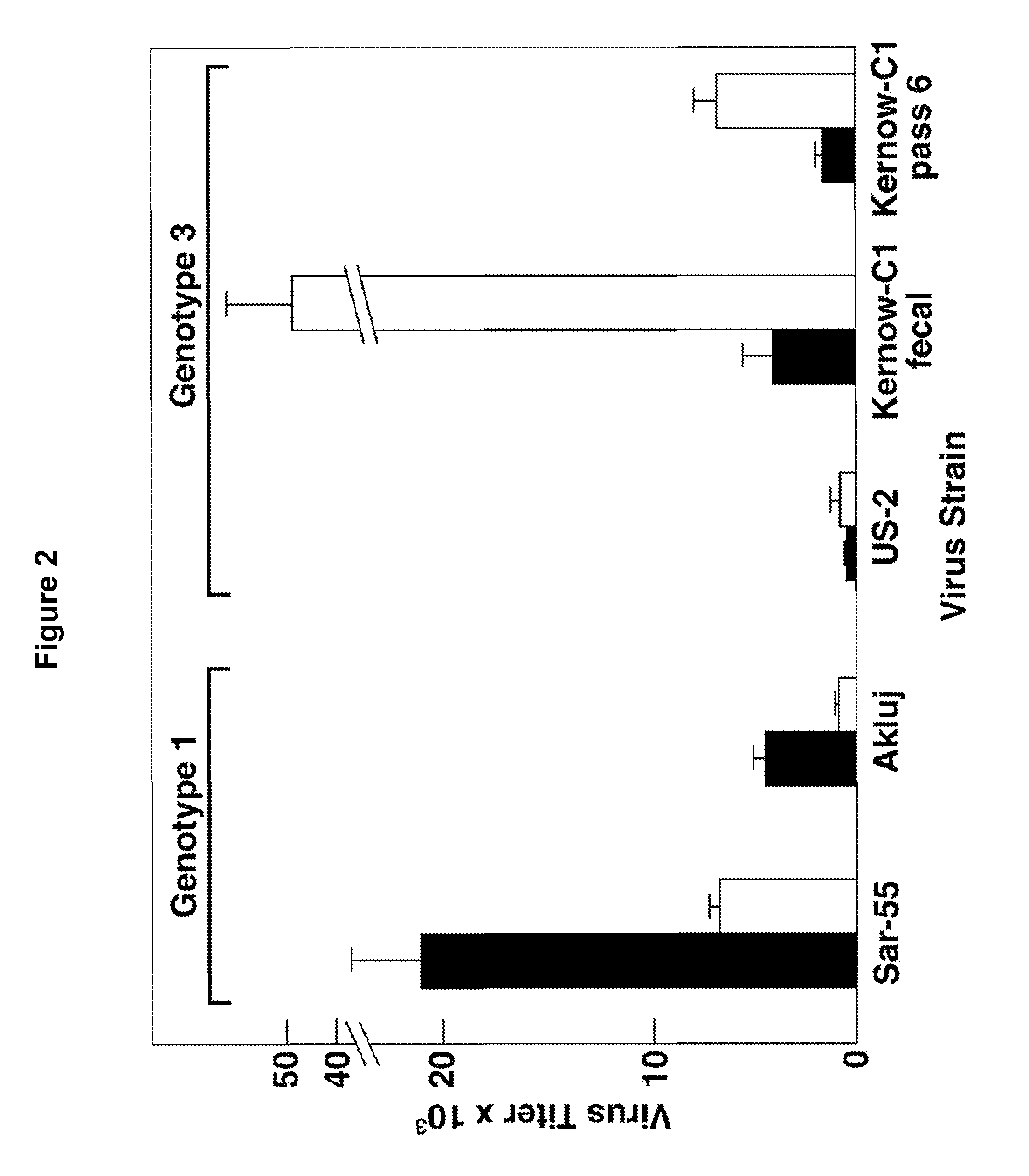 Infectious hepatitis e virus genotype 3 recombinants