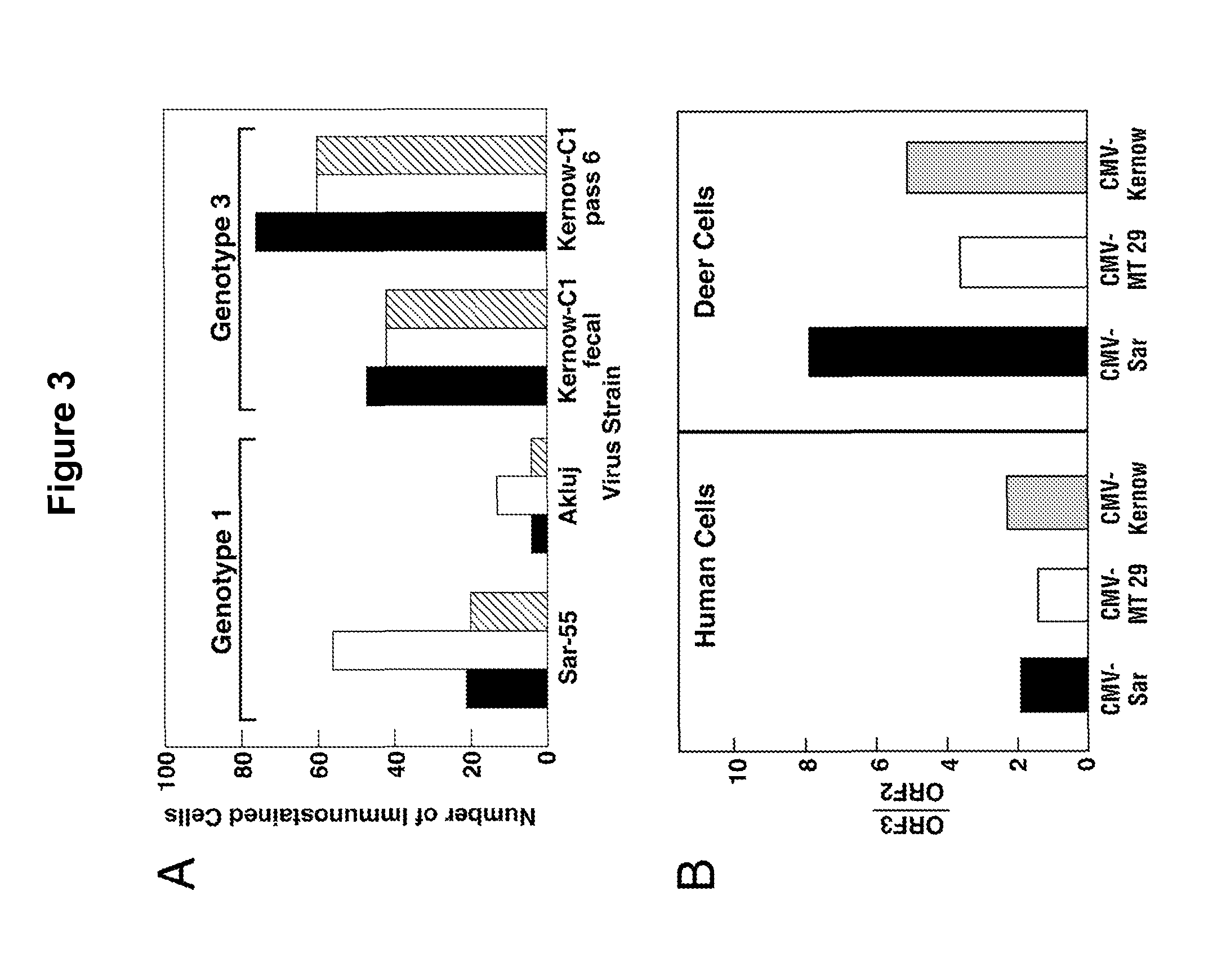 Infectious hepatitis e virus genotype 3 recombinants