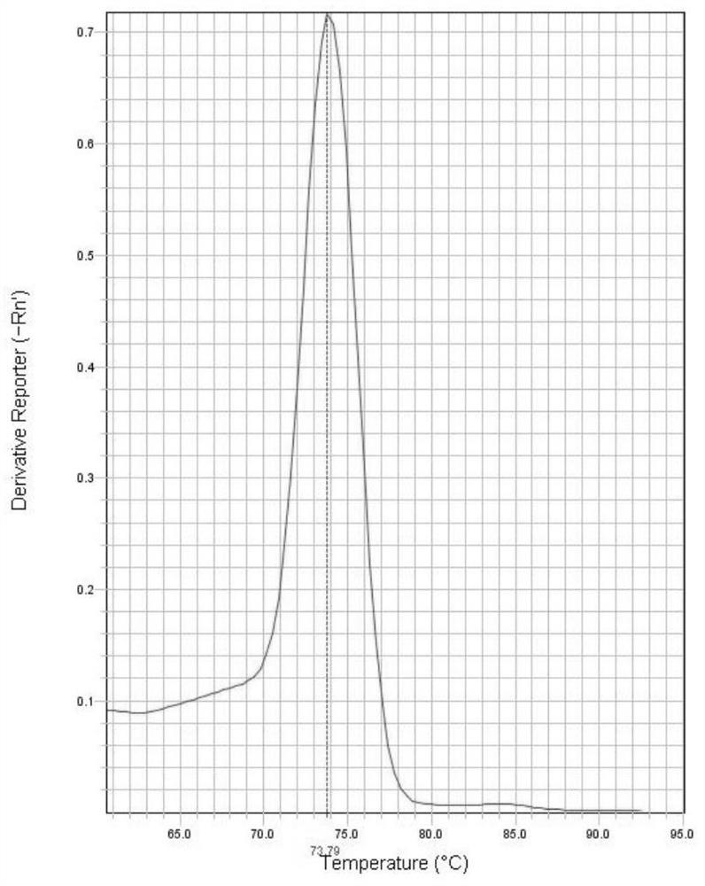 Kit and method for detecting lumpy skin disease viruses