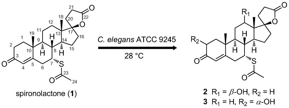 A kind of spironolactone derivative and its microbial conversion preparation method and application