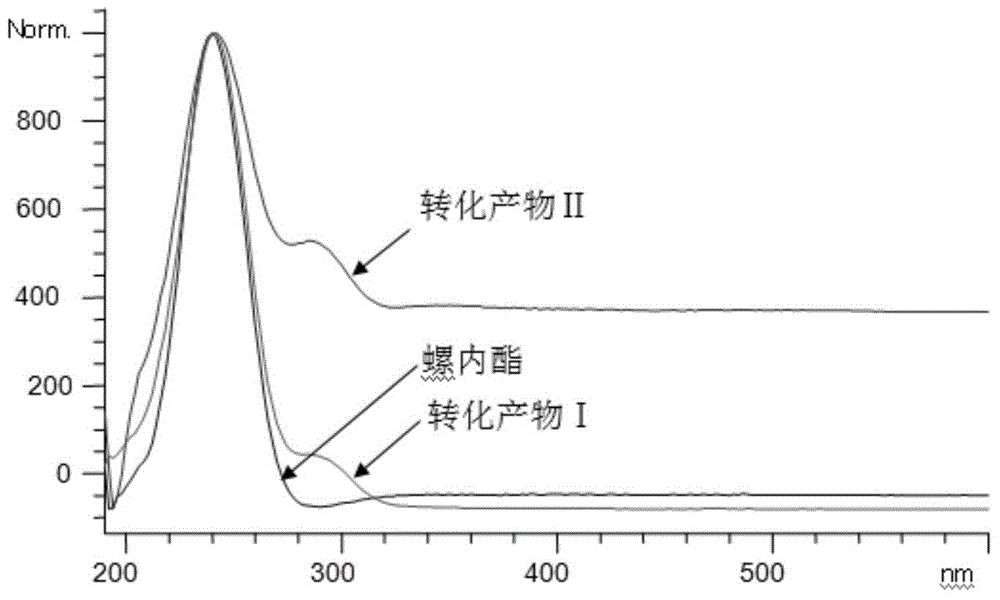 A kind of spironolactone derivative and its microbial conversion preparation method and application