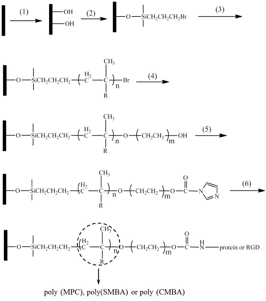 Method for performing surface treatment on material for boosting cell growth and resisting biological pollution