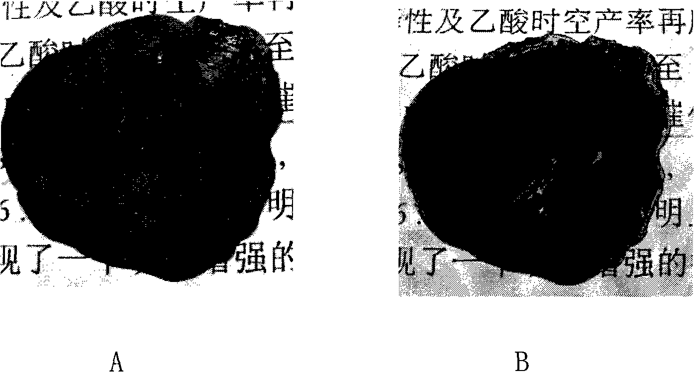 Copying-proof film based on organic membrane structure and its preparation