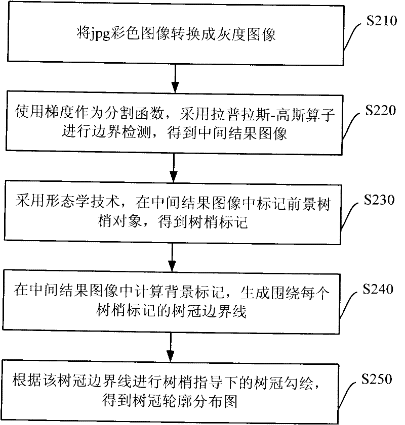 High spatial resolution remote sensing image crown outline delineation system and method