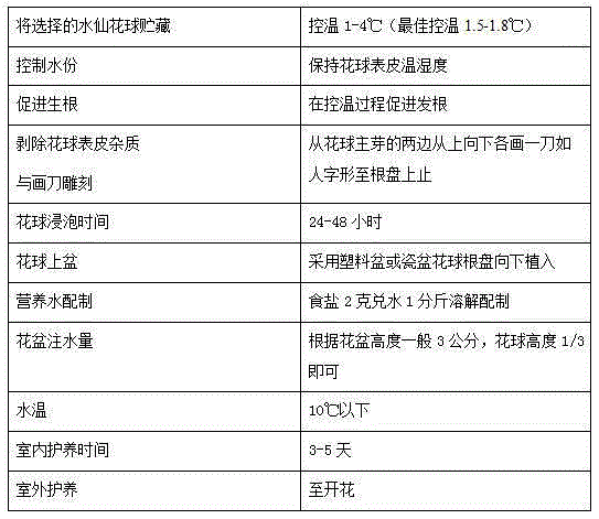 Refrigeration and perpetual blooming nursing method for narcissi