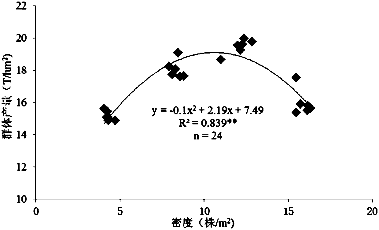 Method for determining suitable population size of corns on basis of source-sink relationship