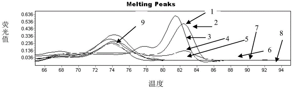 Nucleotide sequence and method for identifying goat milk components and mutton bone meal components in feed