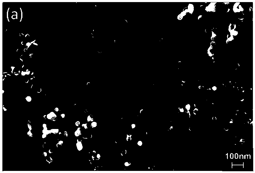 Tetrafluoro-borate ion crosslinking hydroxyl polymer binding agent, preparation method thereof, secondary battery and negative electrode and negative paste of secondary battery