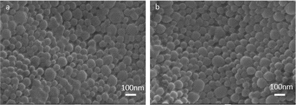 Nanoparticle for macrophage targeting drug delivery and preparation method thereof