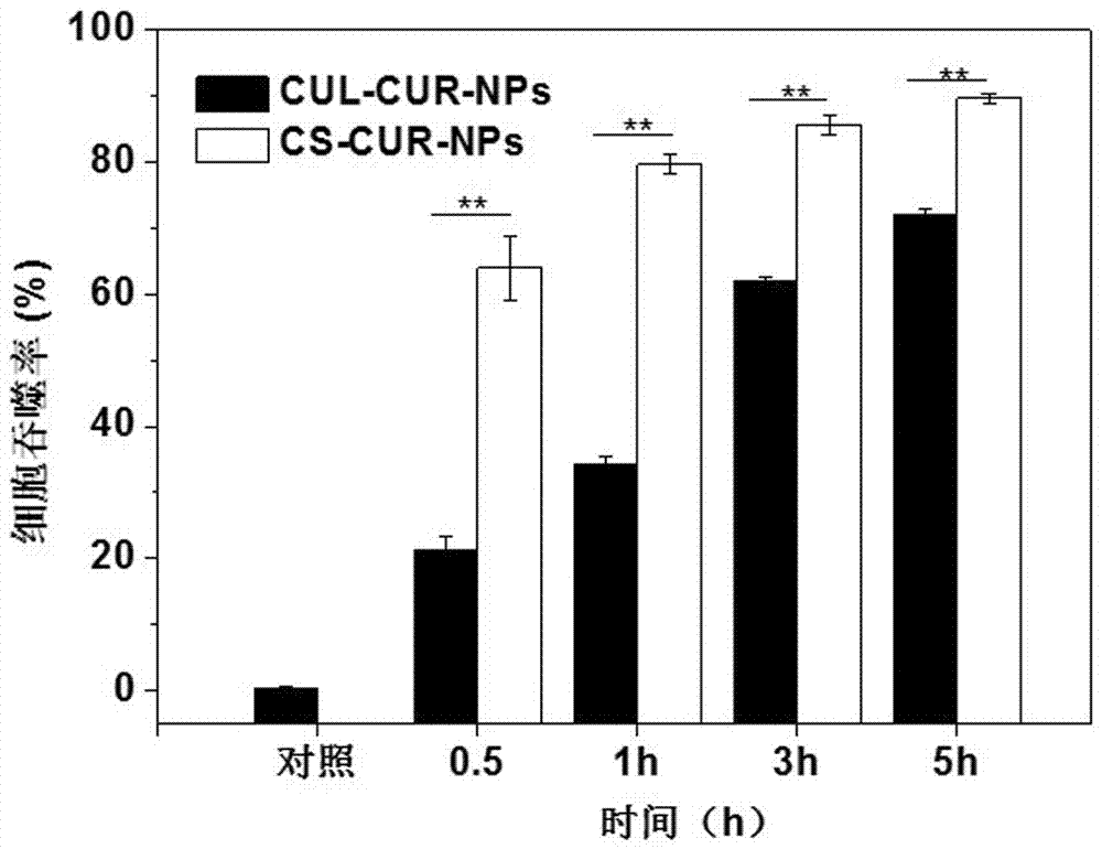 Nanoparticle for macrophage targeting drug delivery and preparation method thereof