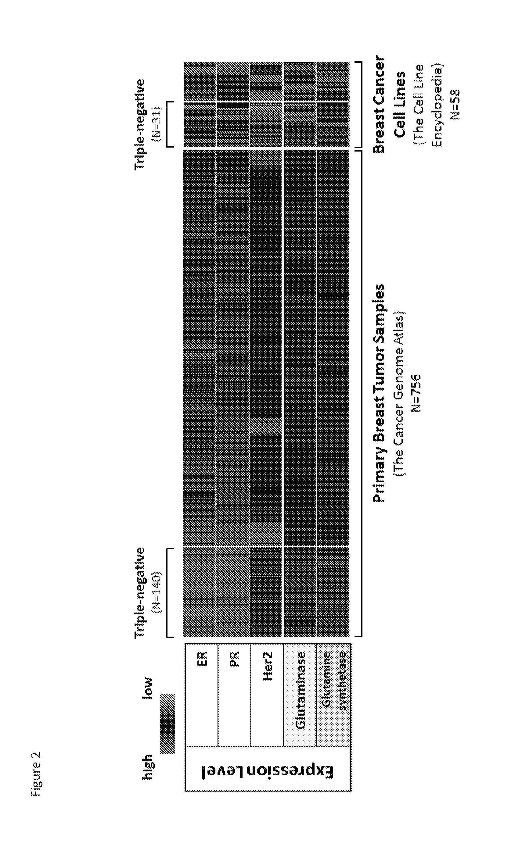 Treatment of cancer with heterocyclic inhibitors of glutaminase