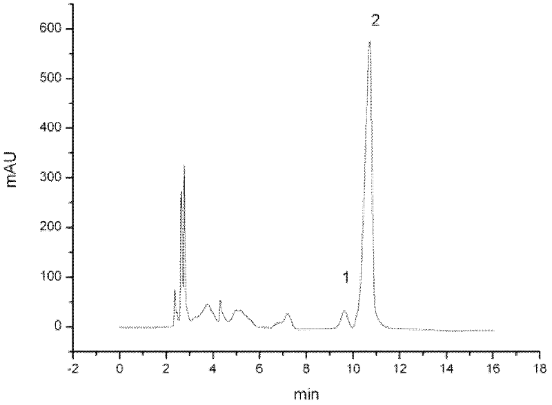 Cultivating method for cordyceps militaris by using manyprickle acathopanax root