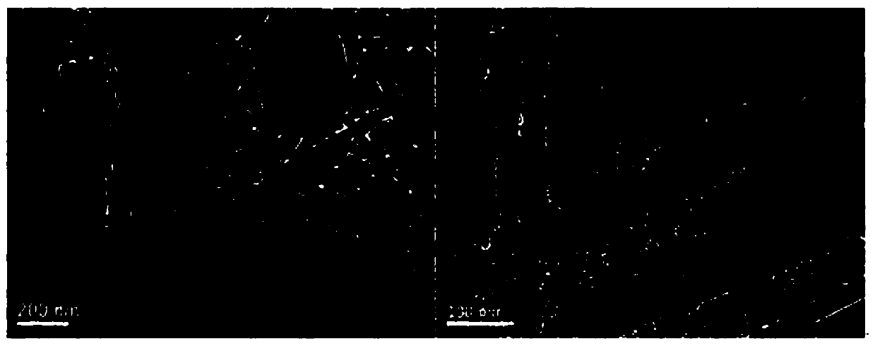 High-flux anti-pollution reverse osmosis membrane and preparation method thereof