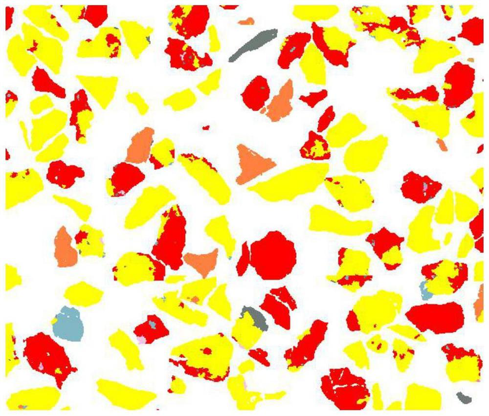 Method for preparing MLA test resin polished section from collophanite powder sample