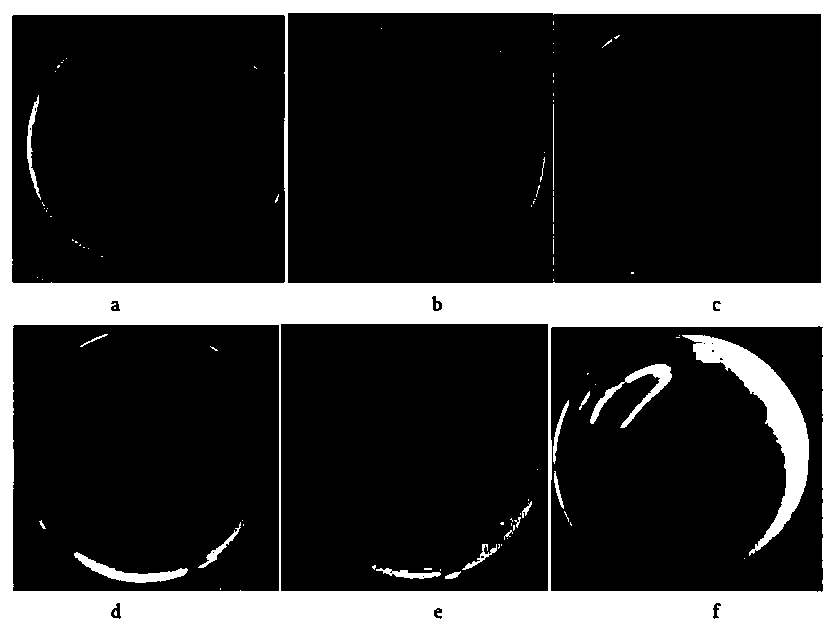 Bacillus velezensis LfF-1 strain and application thereof in protease production