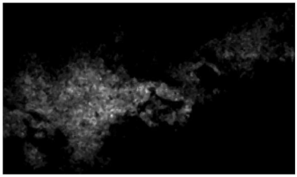 Supersonic combustion instantaneous flame structure high time-space resolution visualization system