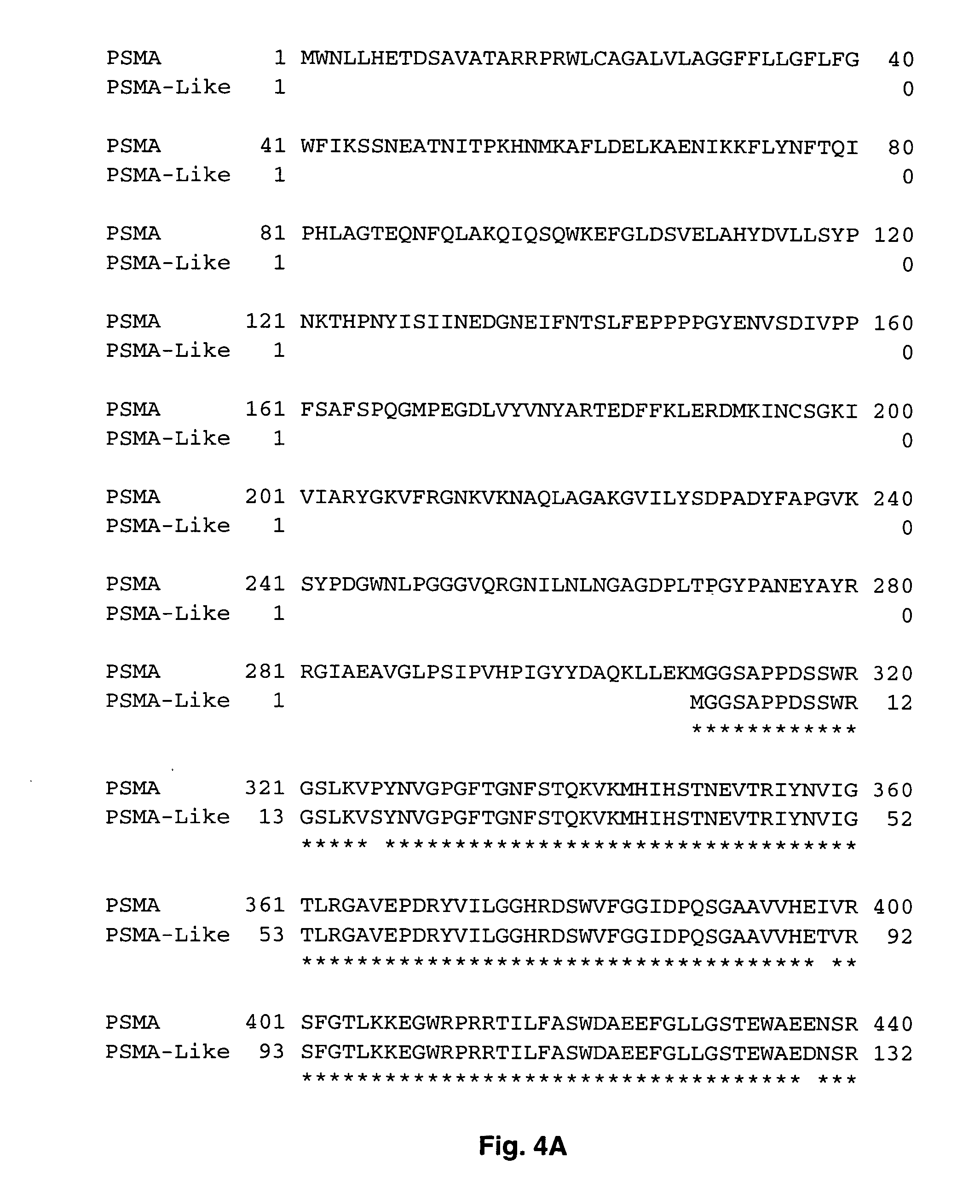 DNA encoding the prostate-specific membrane antigen-like gene and uses thereof