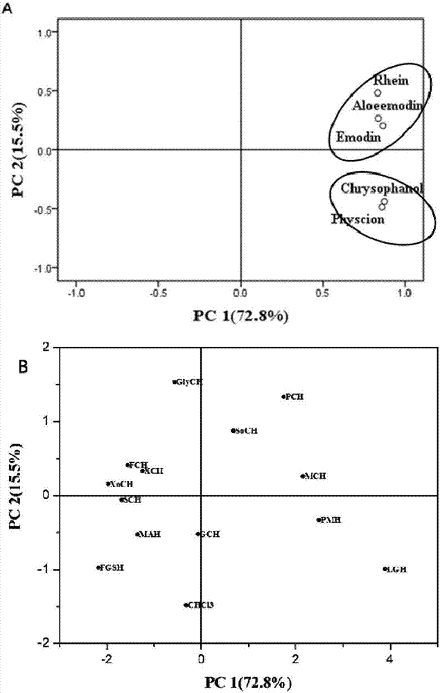 Deep eutectic solvent and method for extracting anthraquinone from radix et rhizoma rhei by using deep eutectic solvent