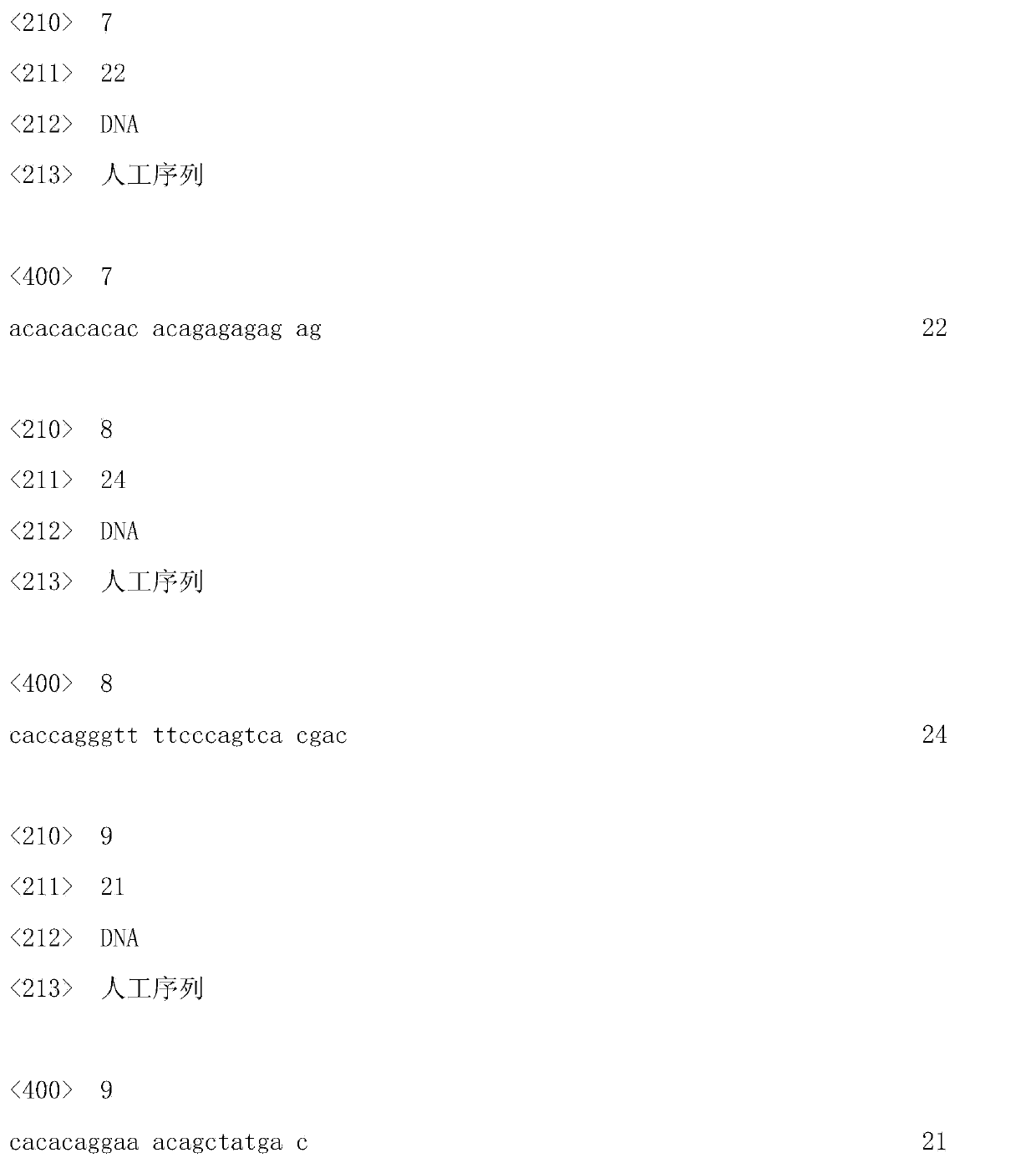 Primer pair, castanopsis hystrix SSR2 (Simple Sequence Repeat 2) marker and preparation method and application thereof