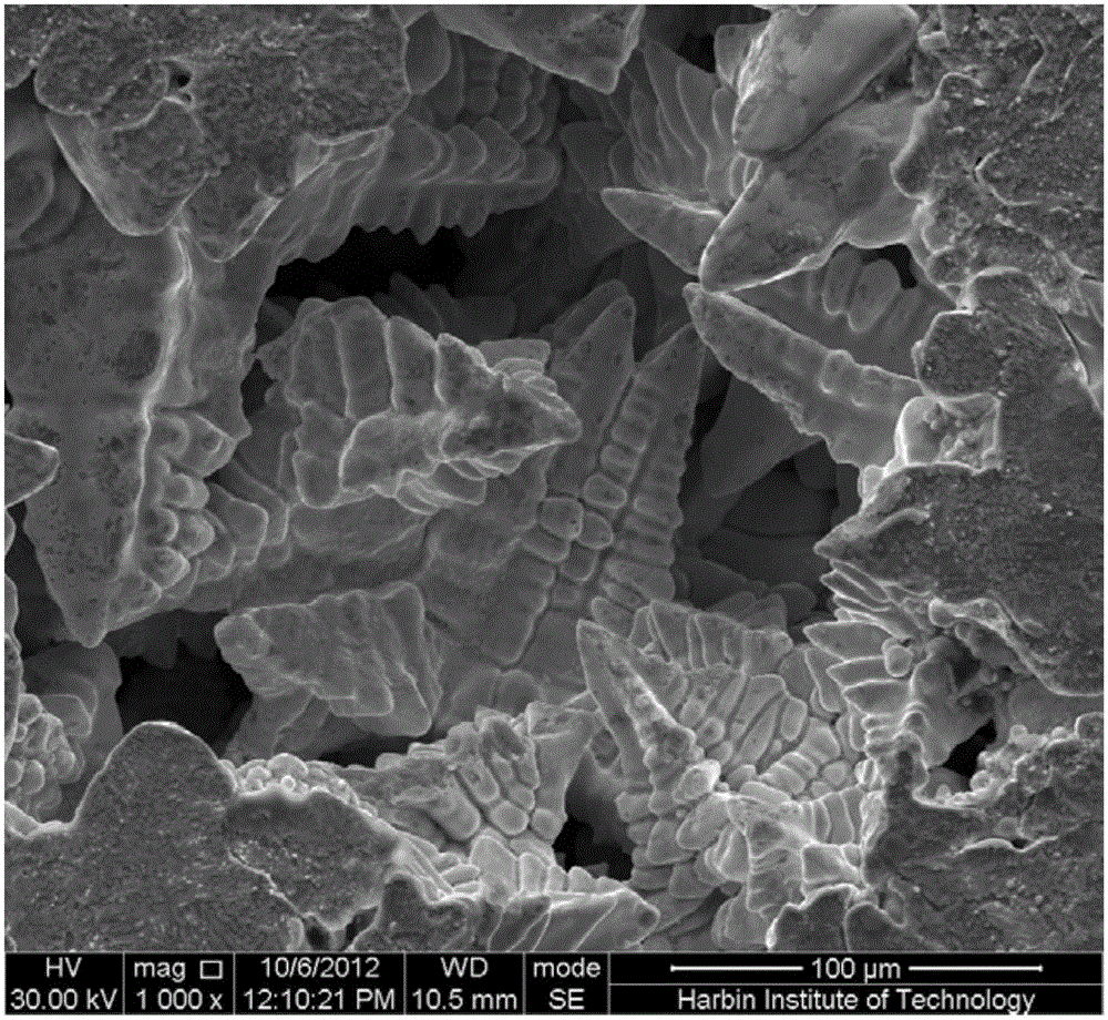 Method for refining grains of lead-tin alloy cast structure