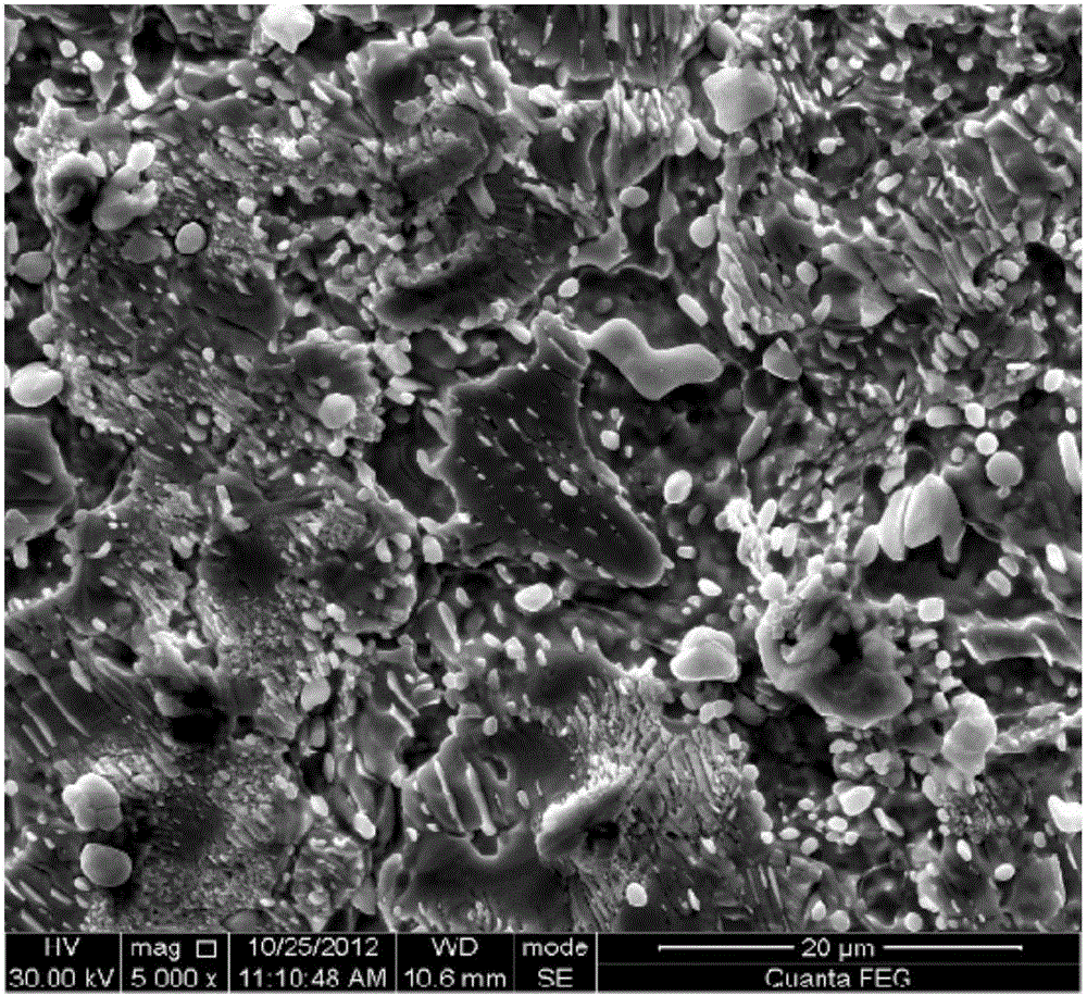 Method for refining grains of lead-tin alloy cast structure