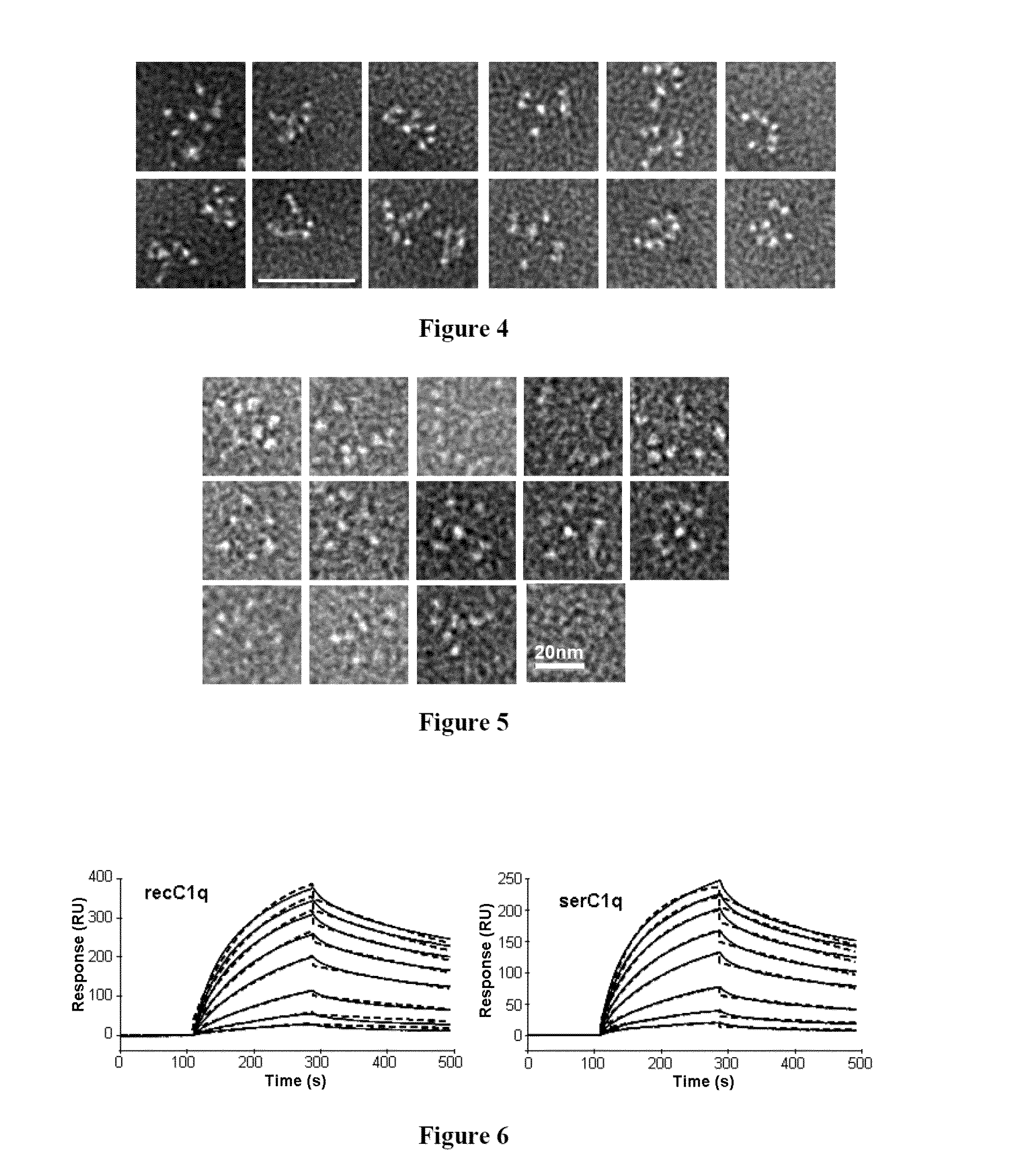 Method for preparing c1q recombinant protein