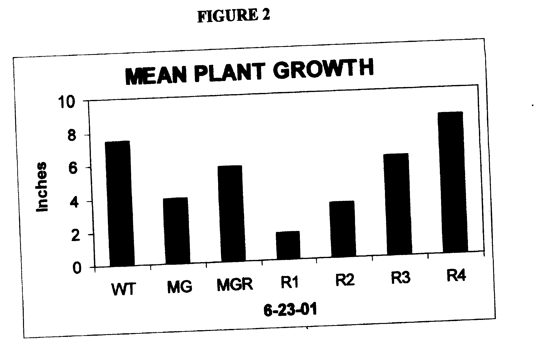 Ribose aids in plant hardening, in the recovery following transplantation shock, and enhances plant growth and yield and root growth